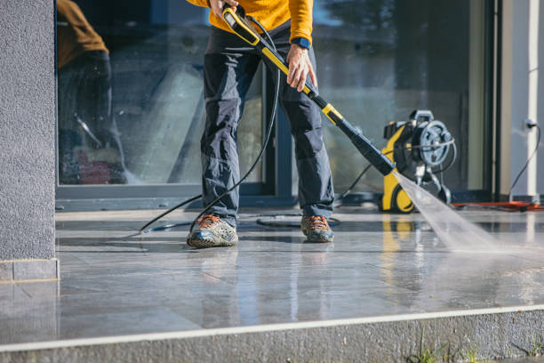 Best Driveway Pressure Washing  in Norwood Young America, MN
