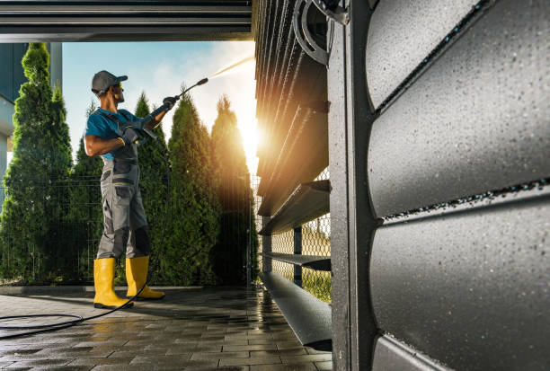 Best Dumpster Area Cleaning  in Norwood Young America, MN